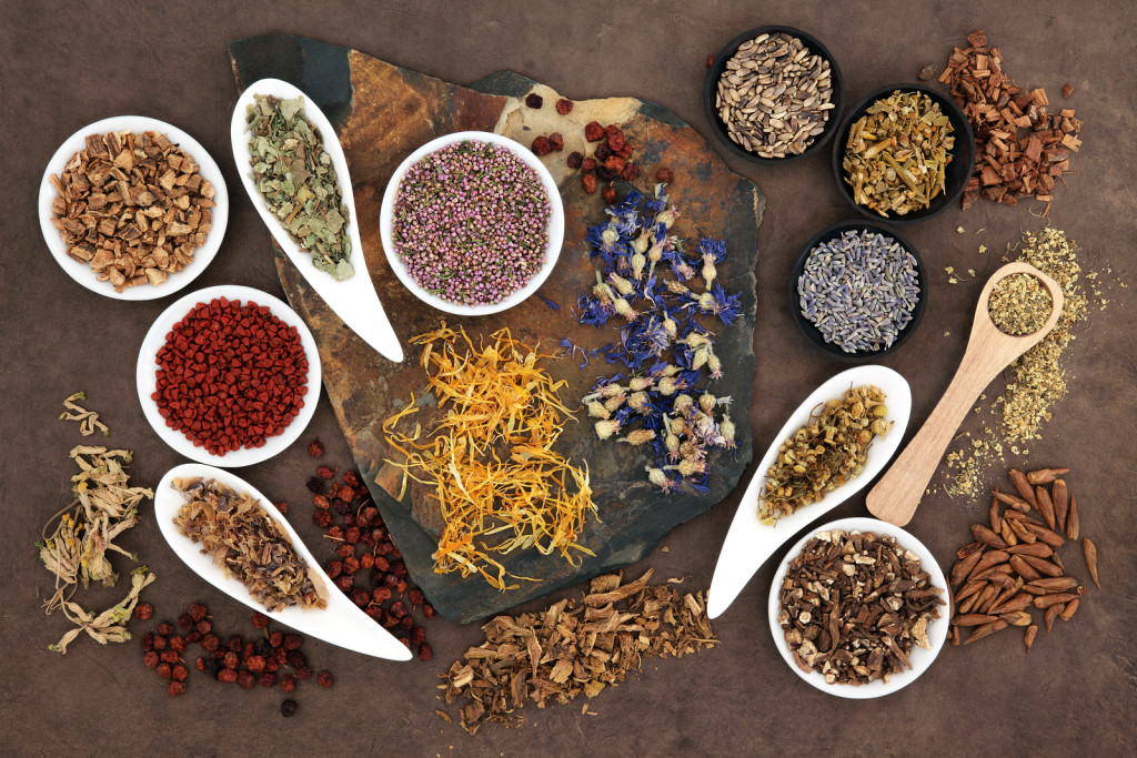 Herbal medicine selection also used in witches magical potions o ...