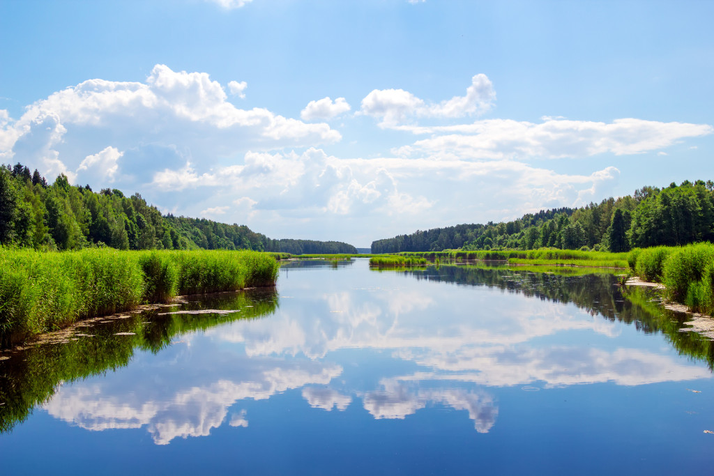 Forest river landscape with clouds reflection in the water. - Licensed ...